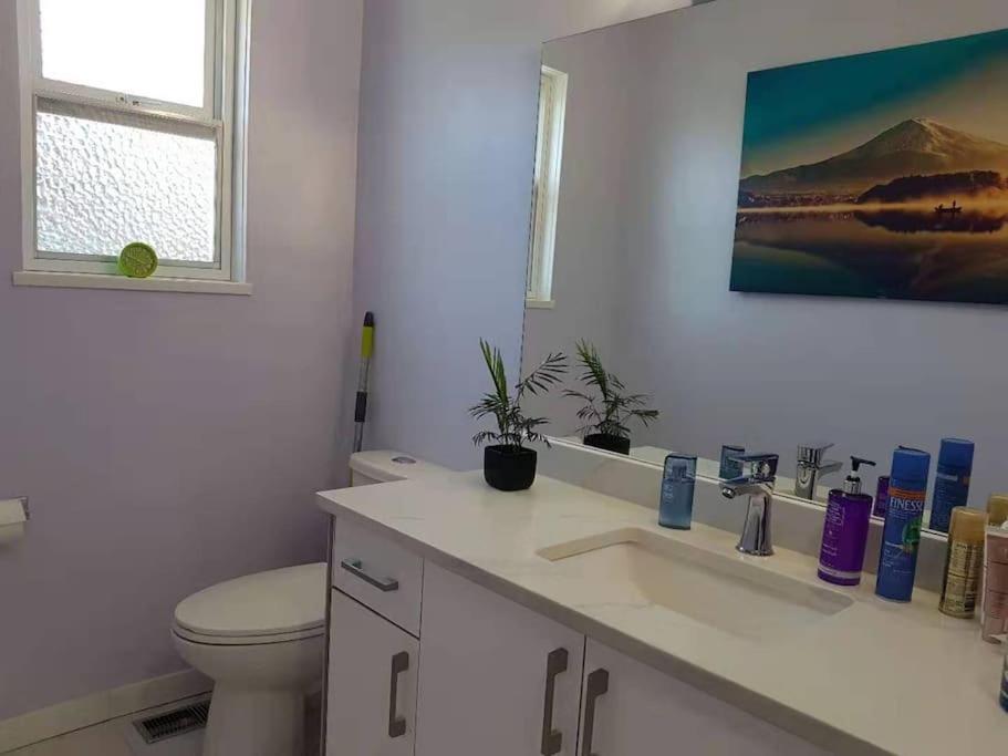 Private Single Room In A House Richmond Extérieur photo